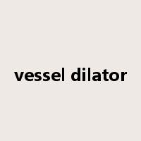 vessel dilator是什么意思