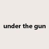 under the gun是什么意思