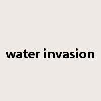 water invasion是什么意思