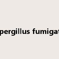Aspergillus fumigatus是什么意思