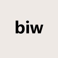 biw是什么意思