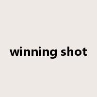 winning shot是什么意思