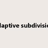 adaptive subdivision是什么意思