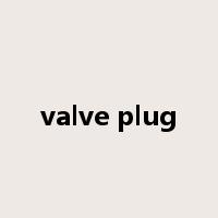 valve plug是什么意思