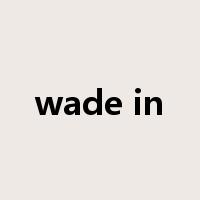 wade in是什么意思