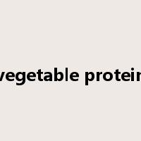 vegetable protein是什么意思