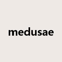 medusae是什么意思