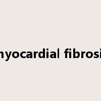 myocardial fibrosis是什么意思