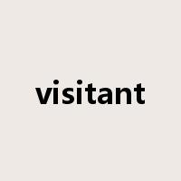 visitant是什么意思