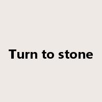Turn to stone是什么意思