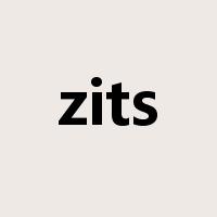 zits是什么意思