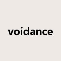 voidance是什么意思