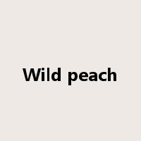 Wild peach是什么意思
