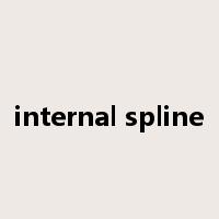 internal spline是什么意思