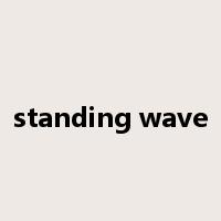 standing wave是什么意思