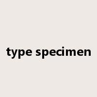 type specimen是什么意思