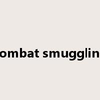 combat smuggling是什么意思