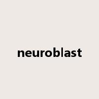 neuroblast是什么意思