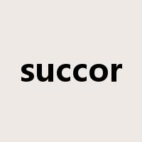 succor是什么意思