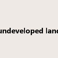 undeveloped land是什么意思