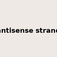 antisense strand是什么意思