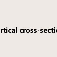 vertical cross-section是什么意思
