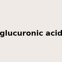 glucuronic acid是什么意思