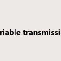 variable transmission是什么意思