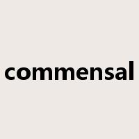 commensal是什么意思