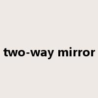 two-way mirror是什么意思