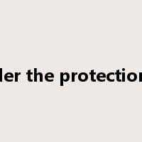 under the protection of是什么意思