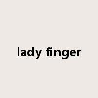 lady finger是什么意思
