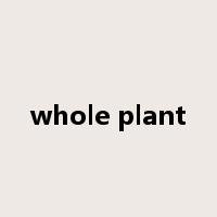 whole plant是什么意思