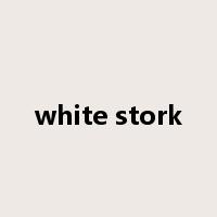 white stork是什么意思