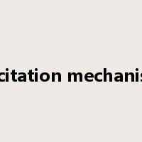 excitation mechanism是什么意思