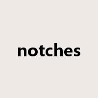 notches是什么意思