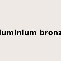 aluminium bronze是什么意思