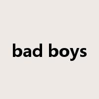 bad boys是什么意思