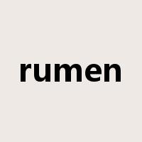 rumen是什么意思