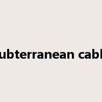 subterranean cable是什么意思
