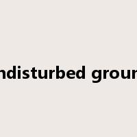 undisturbed ground是什么意思