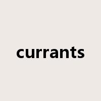 currants是什么意思