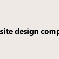 website design company是什么意思