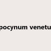 Apocynum venetum是什么意思