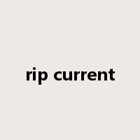 rip current是什么意思