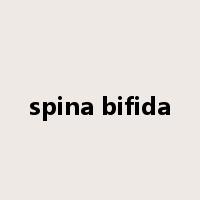 spina bifida是什么意思