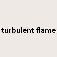 turbulent flame是什么意思