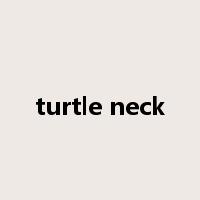 turtle neck是什么意思
