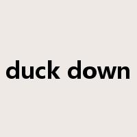 duck down是什么意思