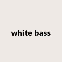 white bass是什么意思